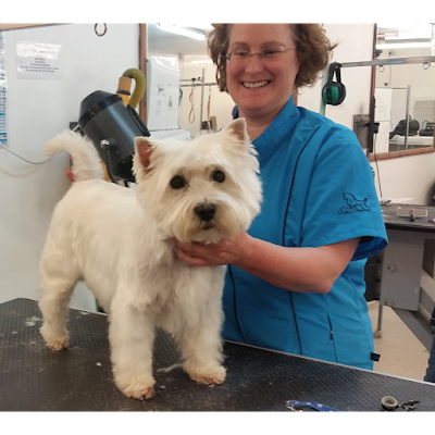 Grooming Van Image