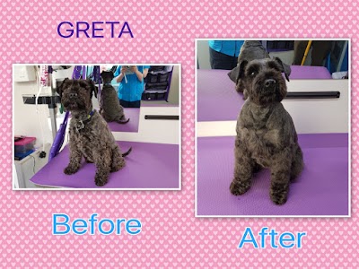 Grooming Van Image