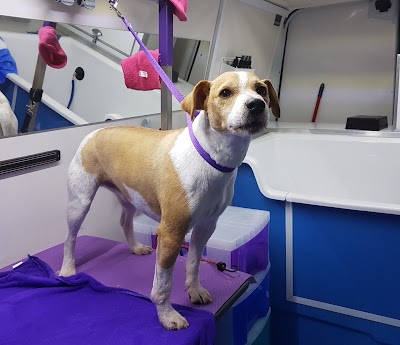 Cleverclix Dog Grooming