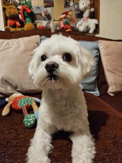 Grooming Van Image