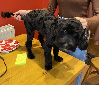 Grooming Van Image