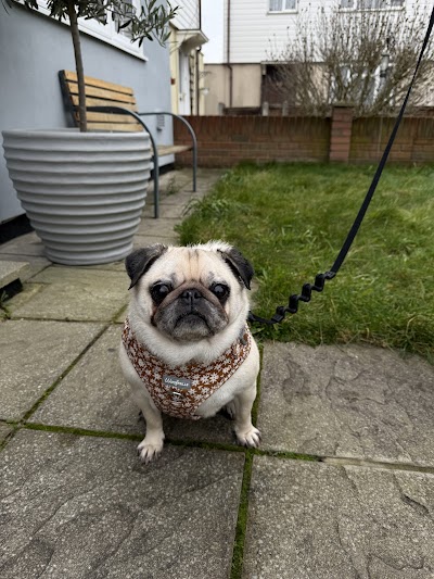 Grooming Van Image