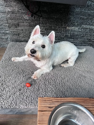 Grooming Van Image