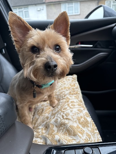 Grooming Van Image