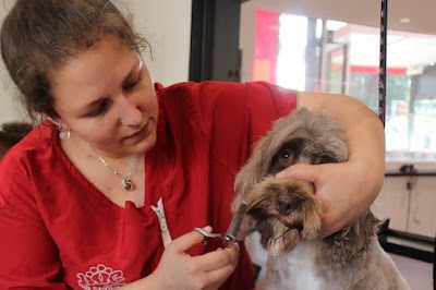 Grooming Van Image