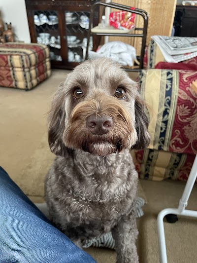 Grooming Van Image
