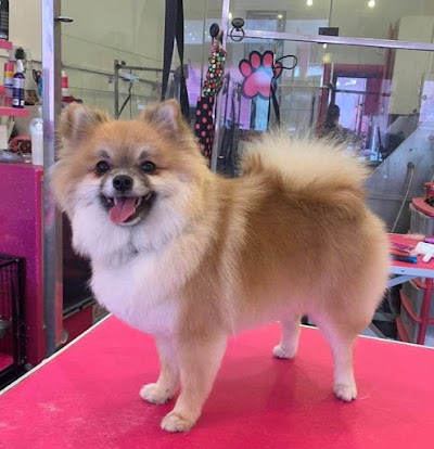 Grooming Van Image