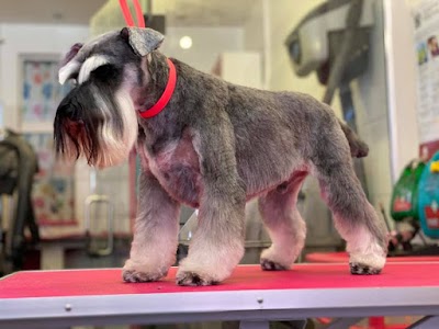 Grooming Van Image