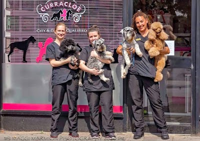 Grooming Van Image