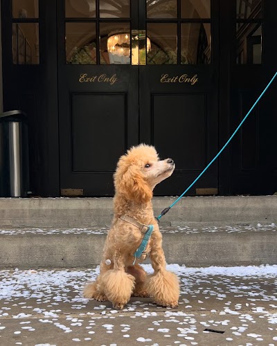 Grooming Van Image