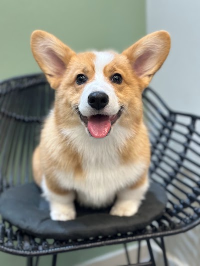 Grooming Van Image