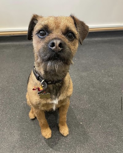 Grooming Van Image