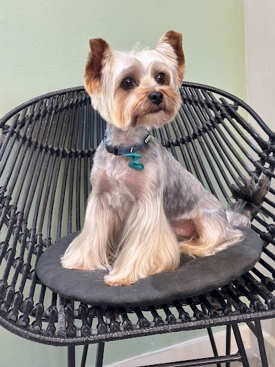 Grooming Van Image