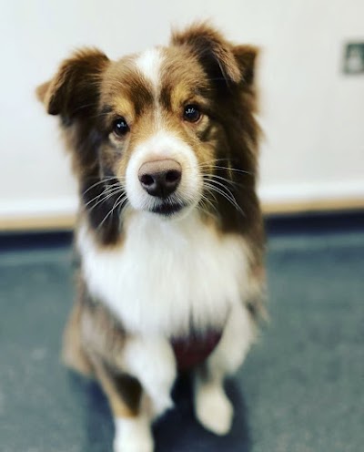 Grooming Van Image