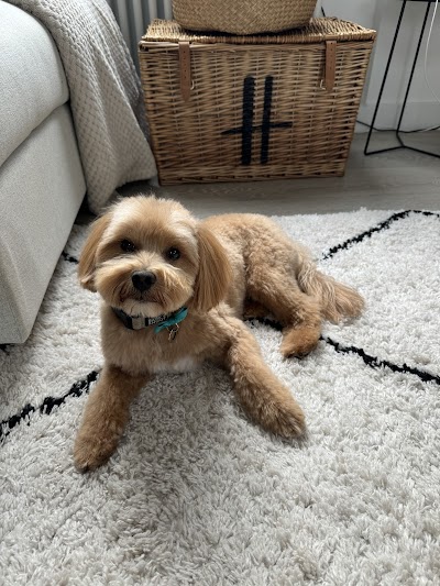Grooming Van Image