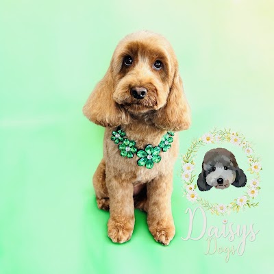 Grooming Van Image