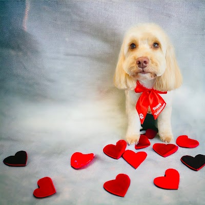 Grooming Van Image