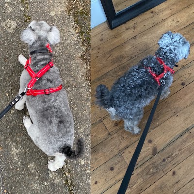 Grooming Van Image