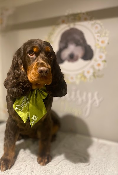 Grooming Van Image