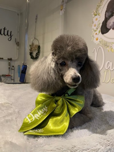 Grooming Van Image