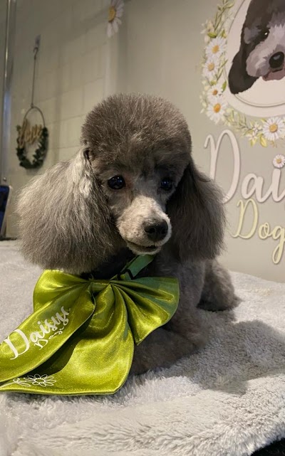 Grooming Van Image