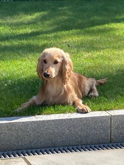 Grooming Van Image