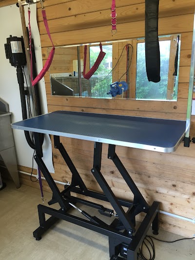 Grooming Van Image