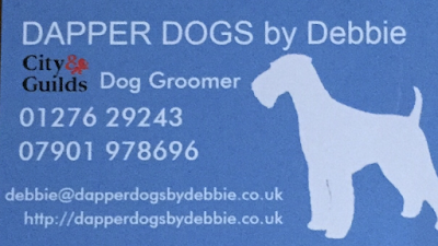 Grooming Van Image