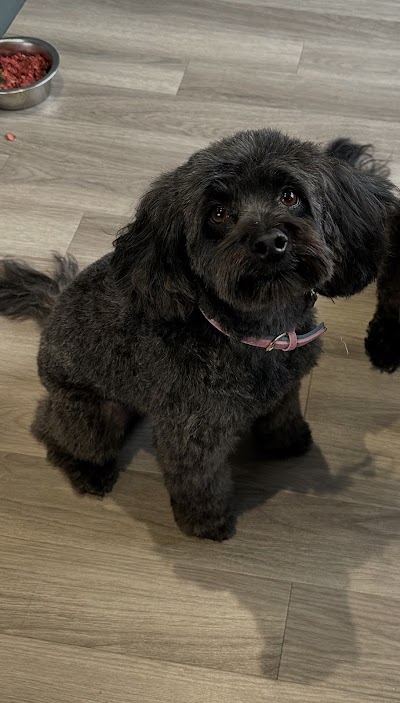 Grooming Van Image