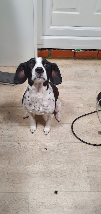 Grooming Van Image