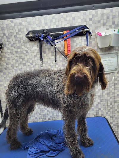 Grooming Van Image