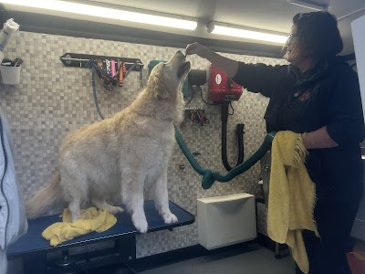Grooming Van Image
