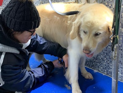 Grooming Van Image