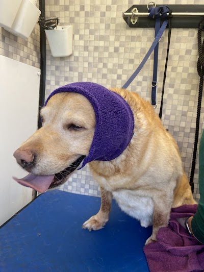 Grooming Van Image