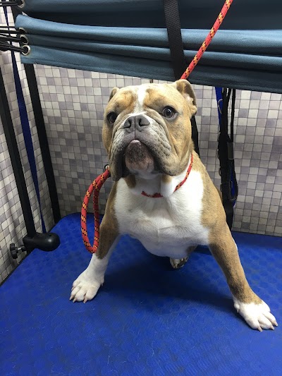 Grooming Van Image