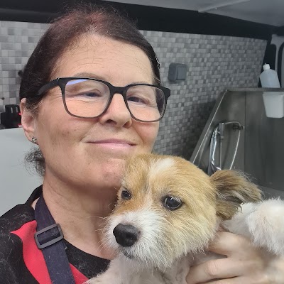 Grooming Van Image