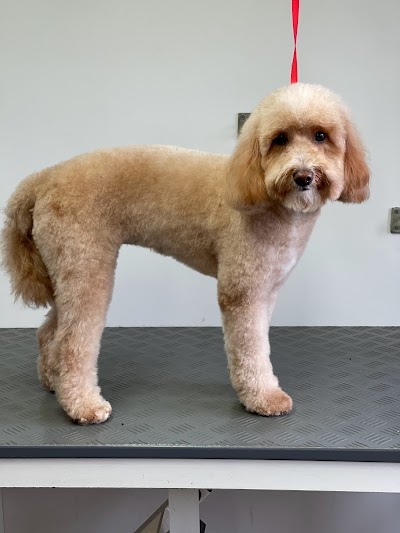 Grooming Van Image