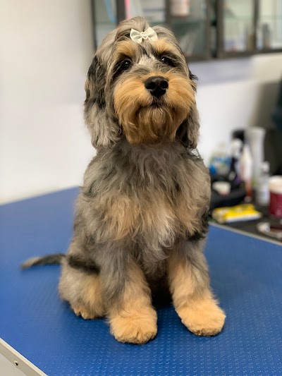Grooming Van Image