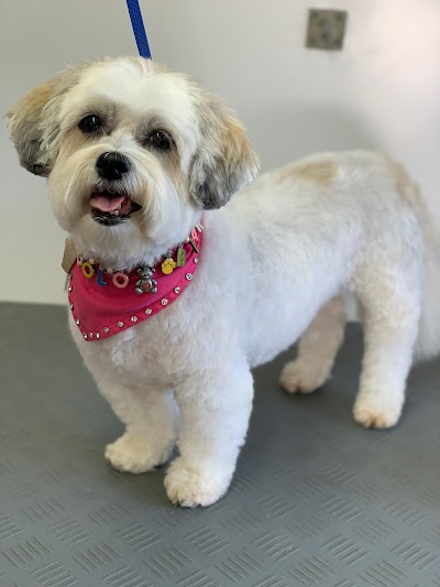 Grooming Van Image