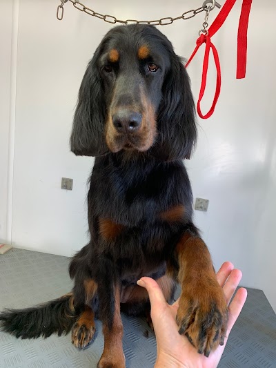 Grooming Van Image