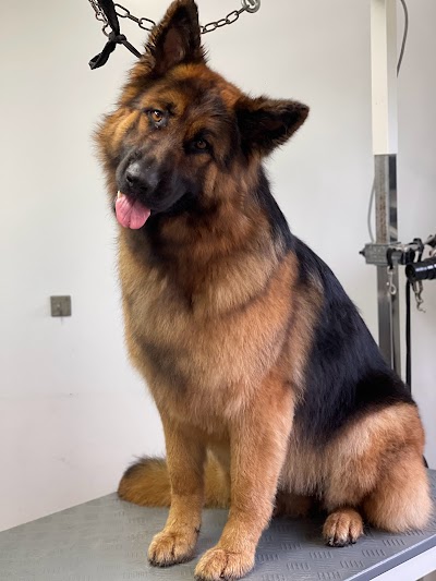Grooming Van Image
