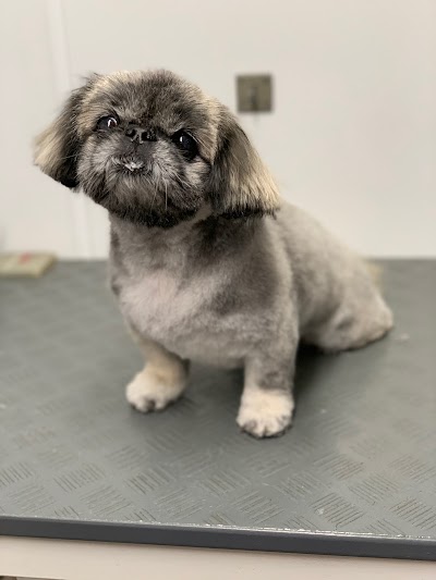 Grooming Van Image
