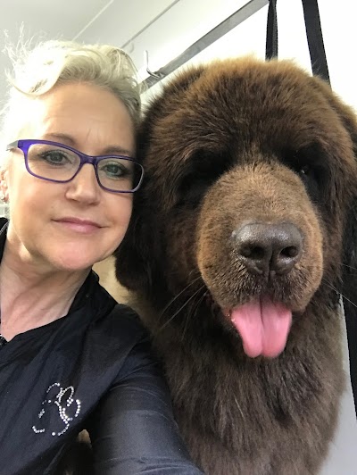 Grooming Van Image