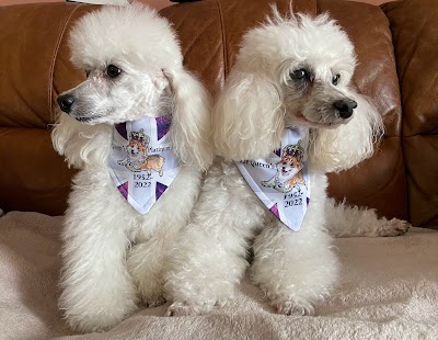 Grooming Van Image