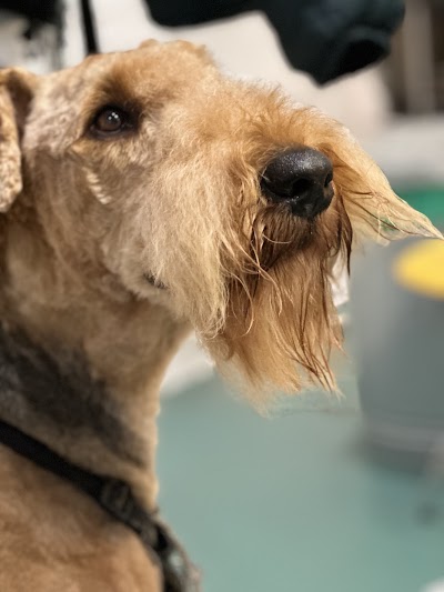 Grooming Van Image