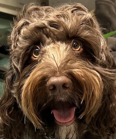 Grooming Van Image