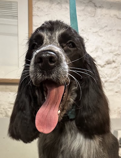 Grooming Van Image