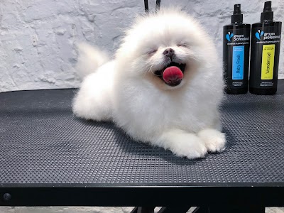 Grooming Van Image