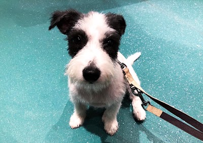 Grooming Van Image