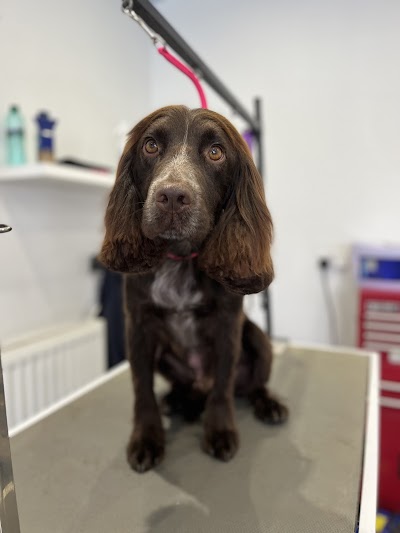 Grooming Van Image